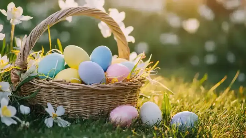 Chasse aux OEUFS de Pâques