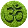 Space Logo